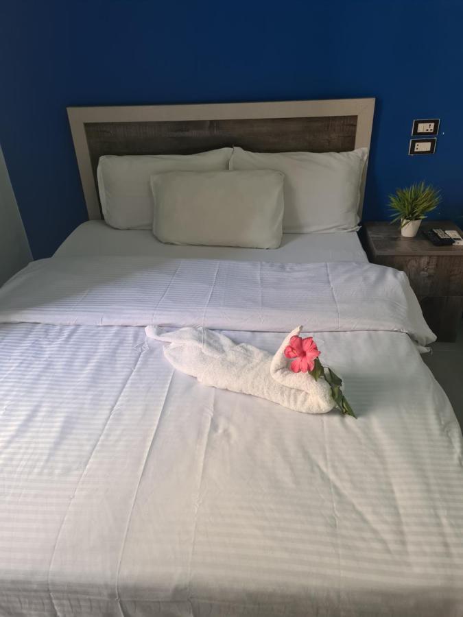 The Australian Hostel Каир Экстерьер фото